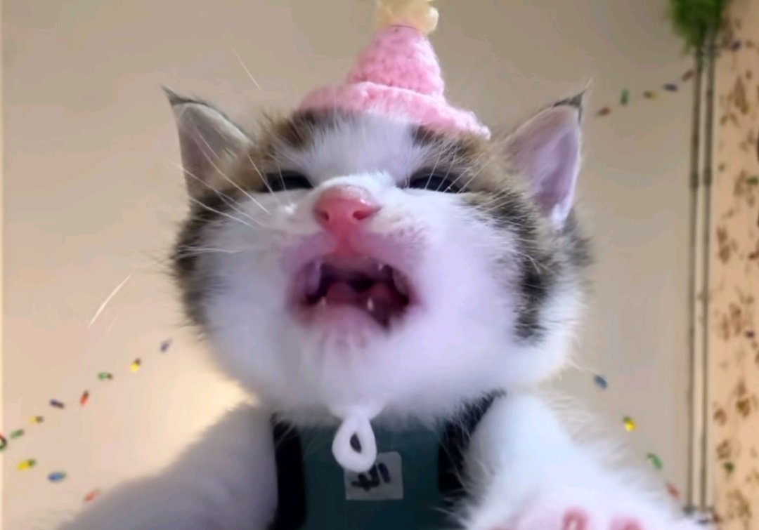 EonInperial tweet media