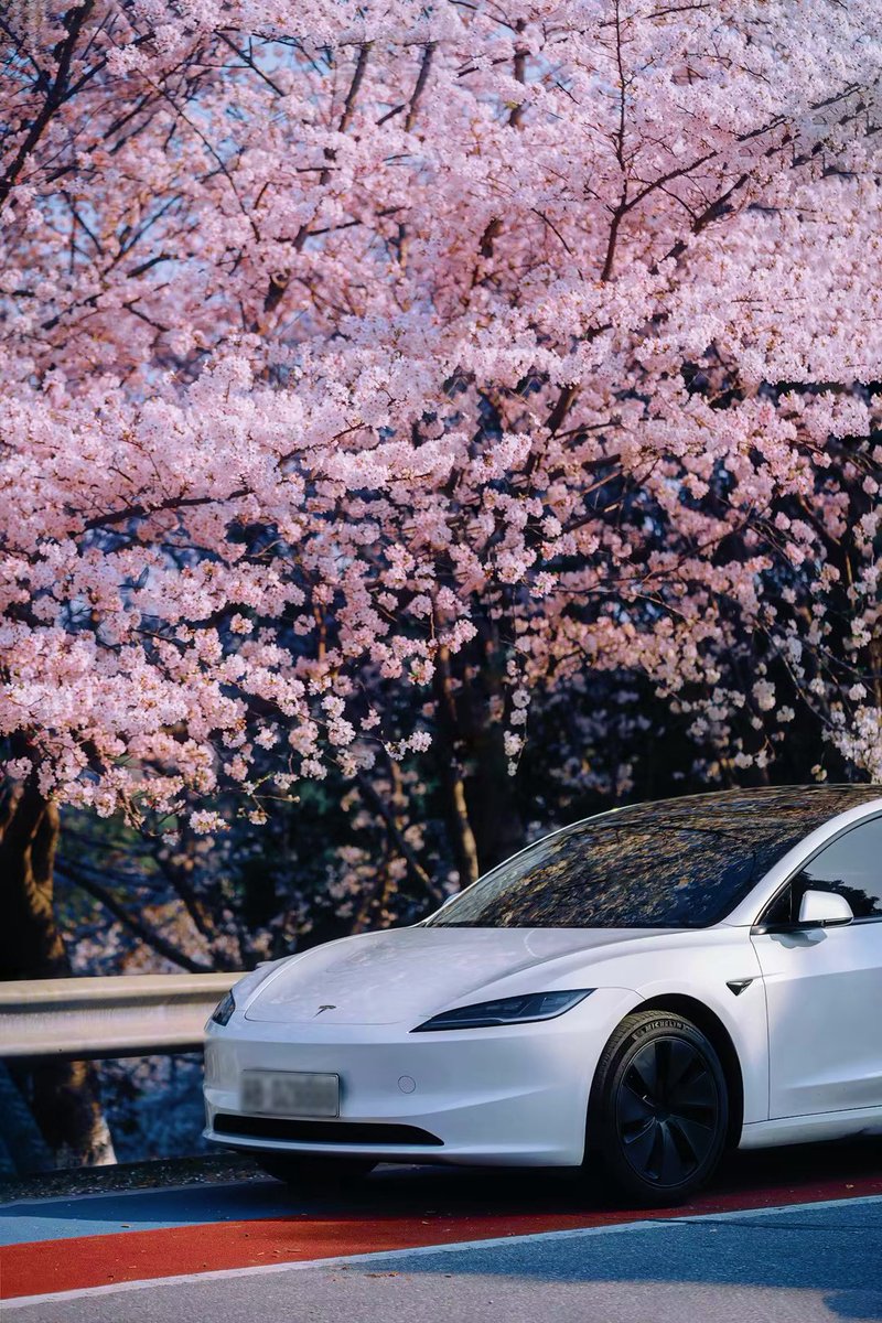 Tesla Asia tweet media