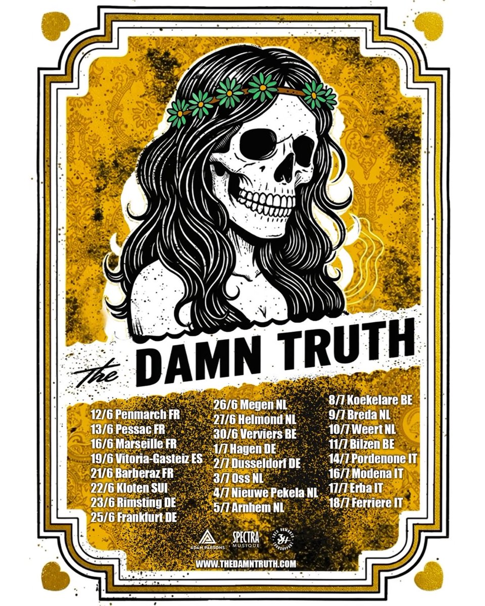 THE DAMN TRUTH tweet media