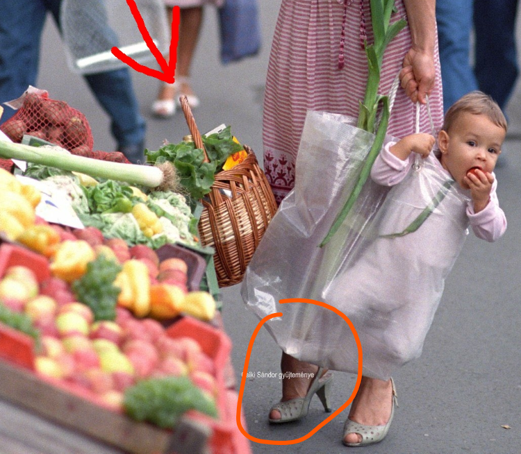 Infodumpling tweet media