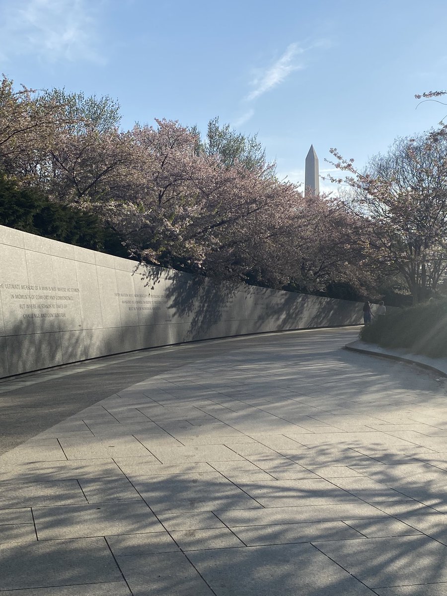 Breakfast w/ my babe Sabrina Elise (find her on 💙🦋) +  cherry blossoms  = the perfect Wednesday in DC 🥰