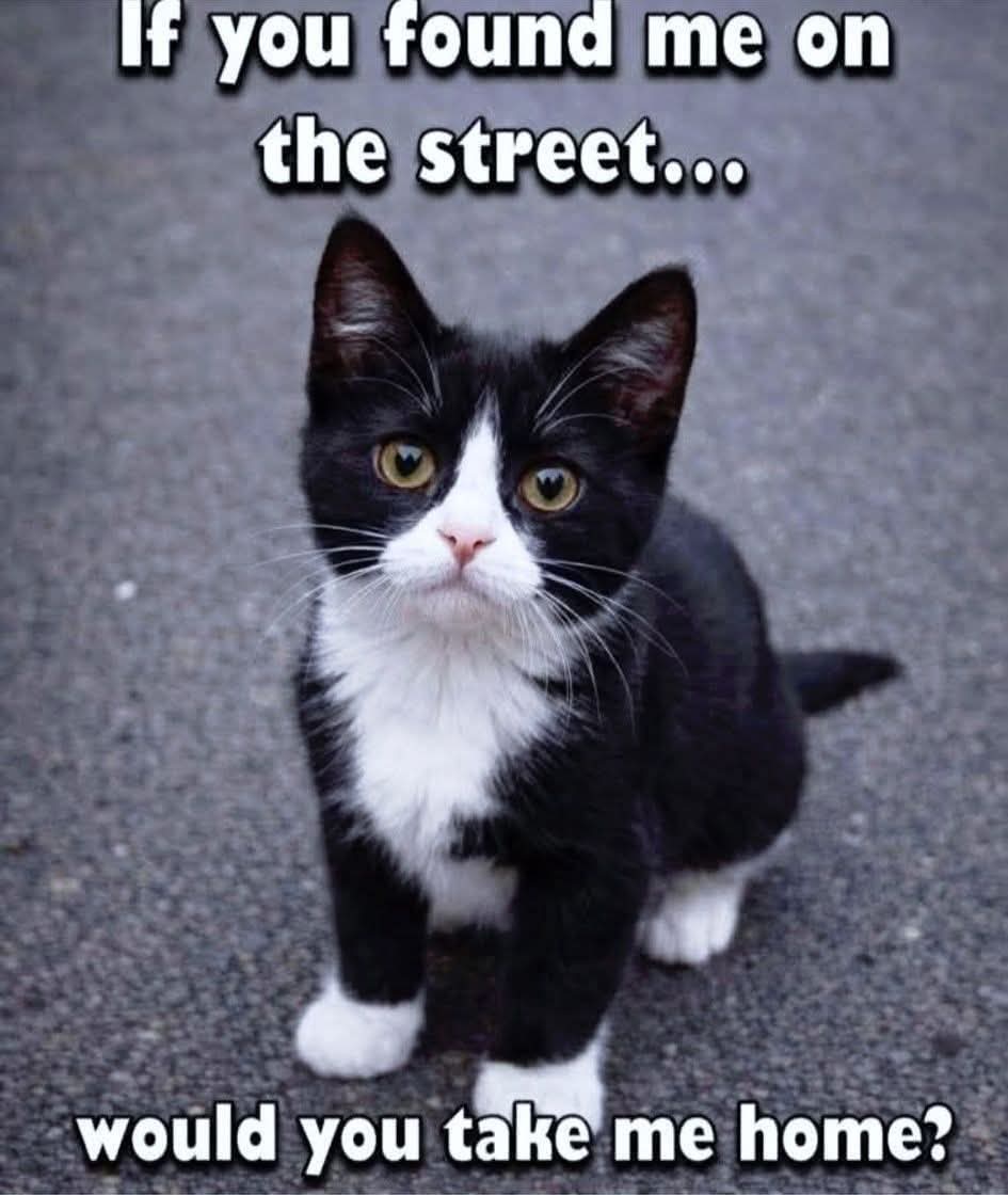 Mary 🕊️ tweet media