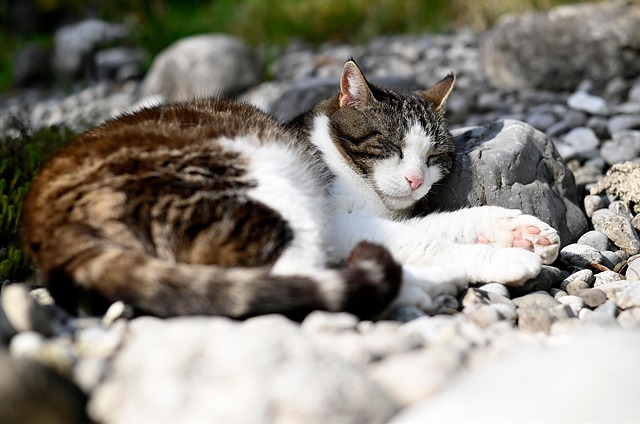 Edwin Alvarado tweet media