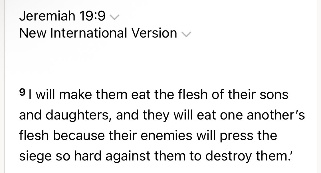 🇩🇪 tweet media