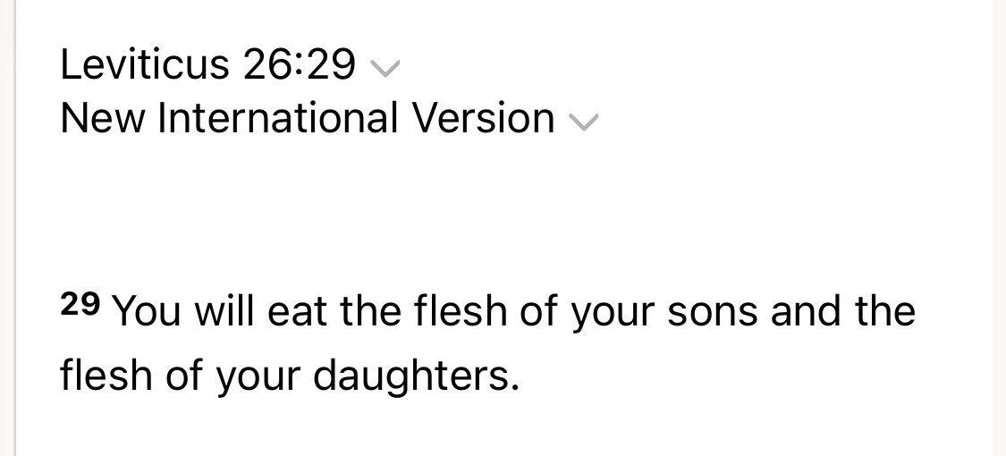 🇩🇪 tweet media