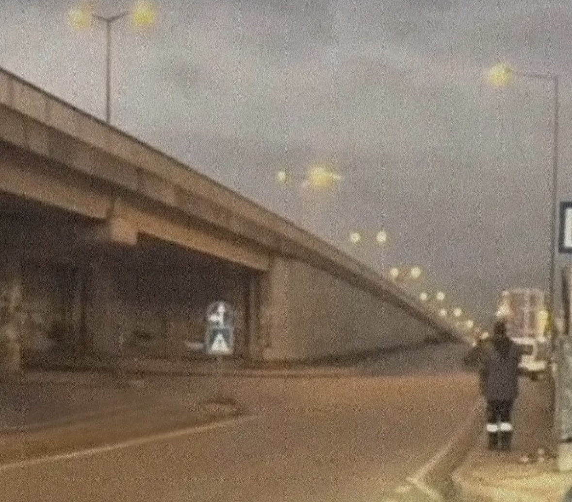 Stephanie Kent 🍀 tweet media