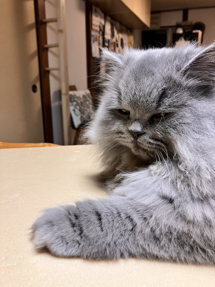 つじ にぬき tweet media