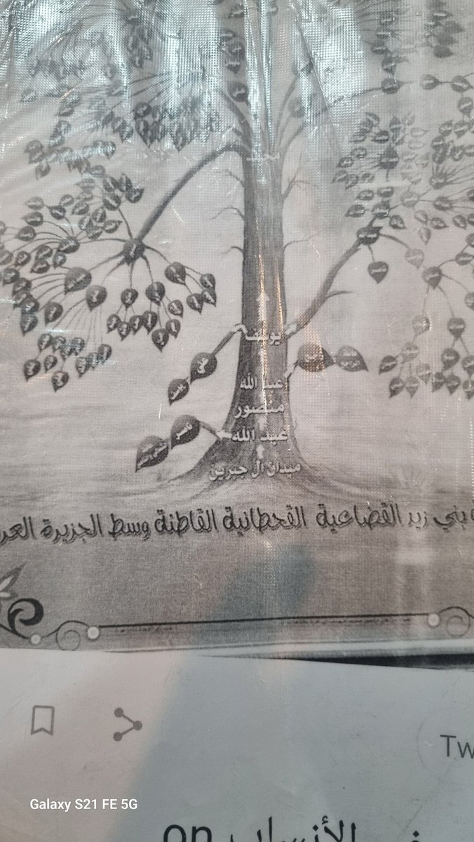 بني زيد ال سدحان tweet media