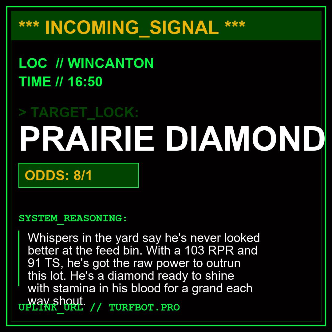 turf_wizard tweet media