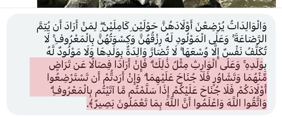 soso tweet media