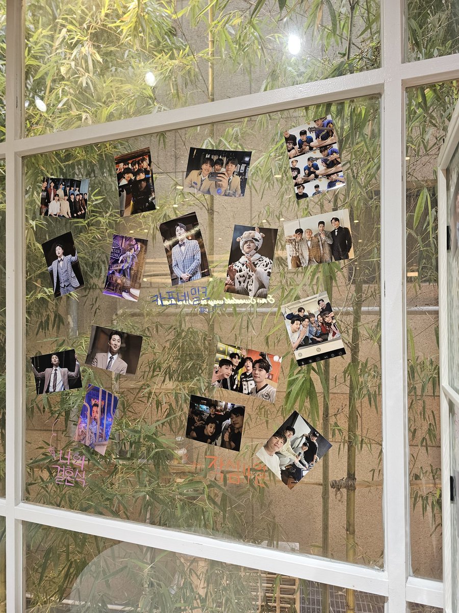 쵸이 🎶 tweet media