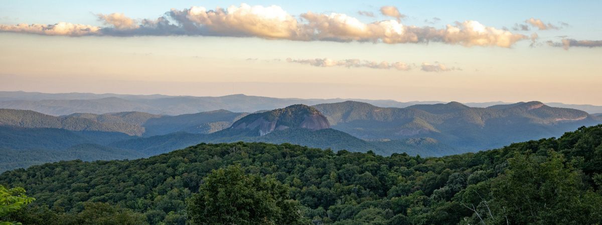 DecHardwoods's tweet photo. DHA members, don't miss out! Sign up today to secure your early bird discount for our 2026 Annual Meeting, May 12 - 14, in Asheville, NC: https://t.co/SNClPrqmxI https://t.co/IbVyW2v4gU
