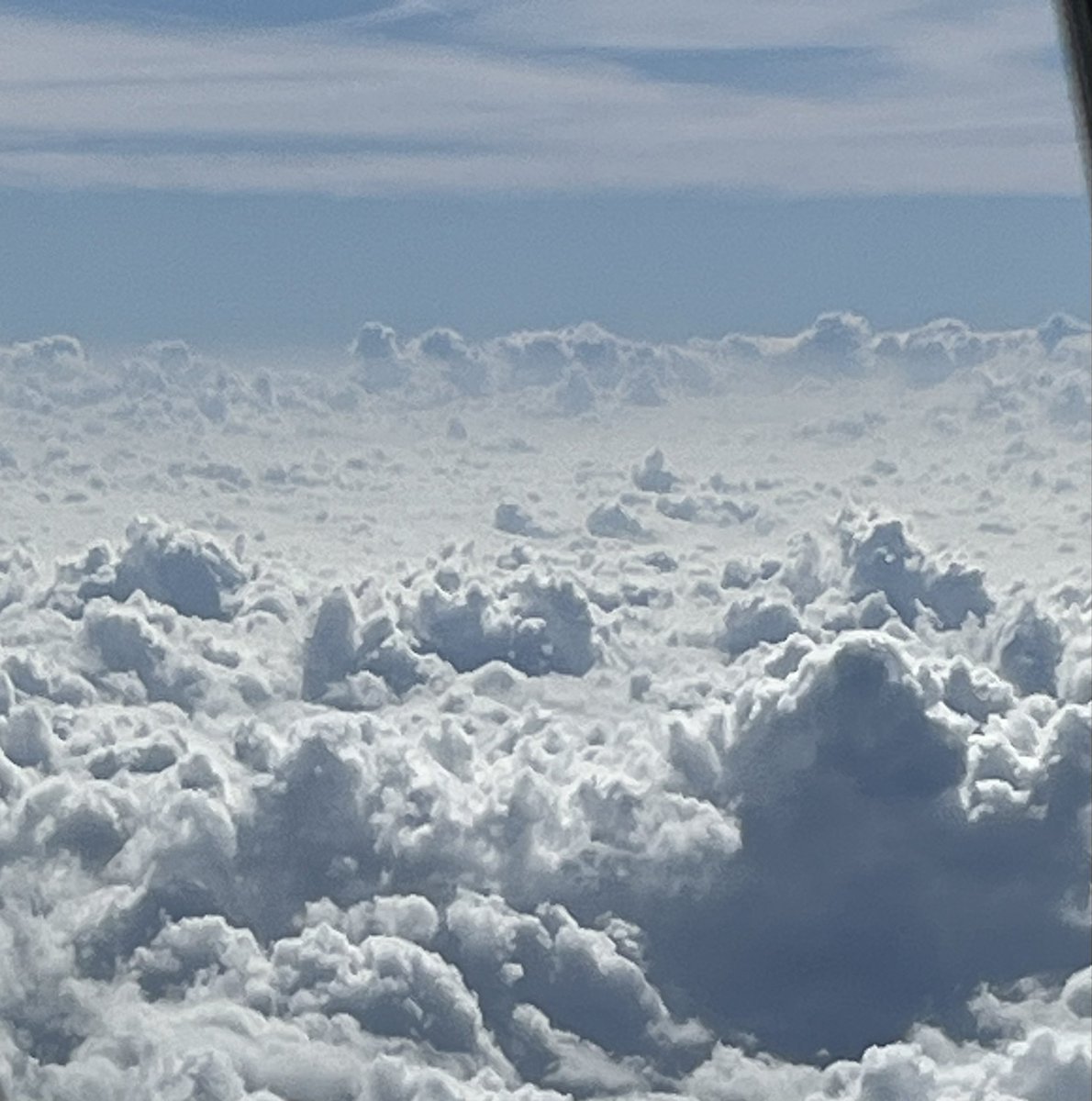 Htownfinfan tweet media