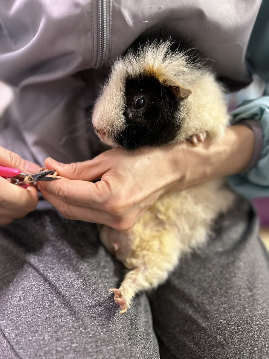 ごまーみん@充電中 tweet media