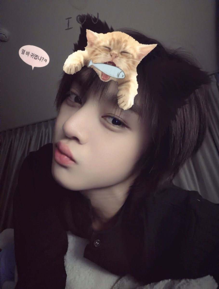 Ottoottoo tweet media