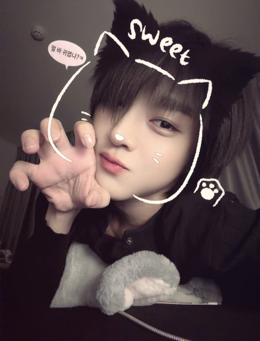 Ottoottoo tweet media