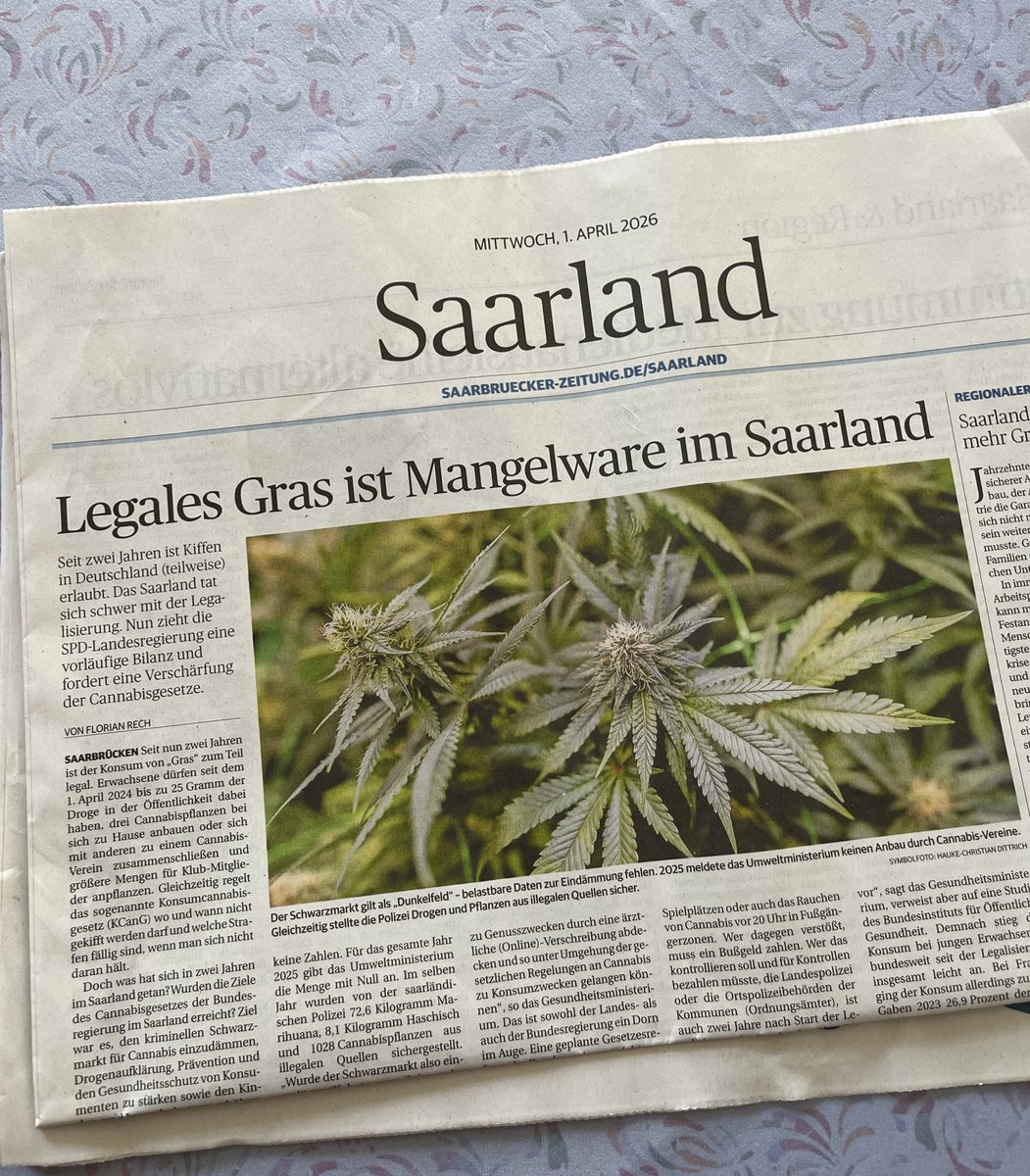 Daphne Weber tweet media