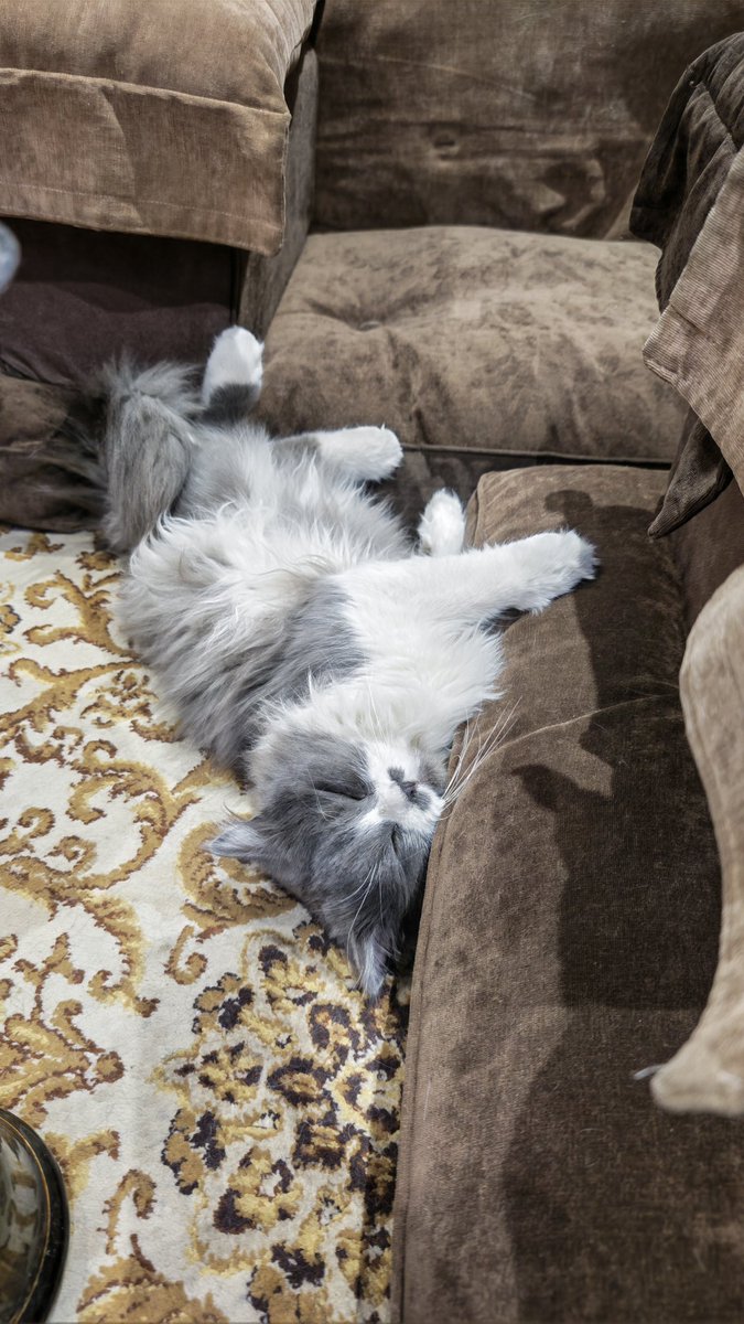 ★ سجين الحكاية 🇸🇦★ tweet media