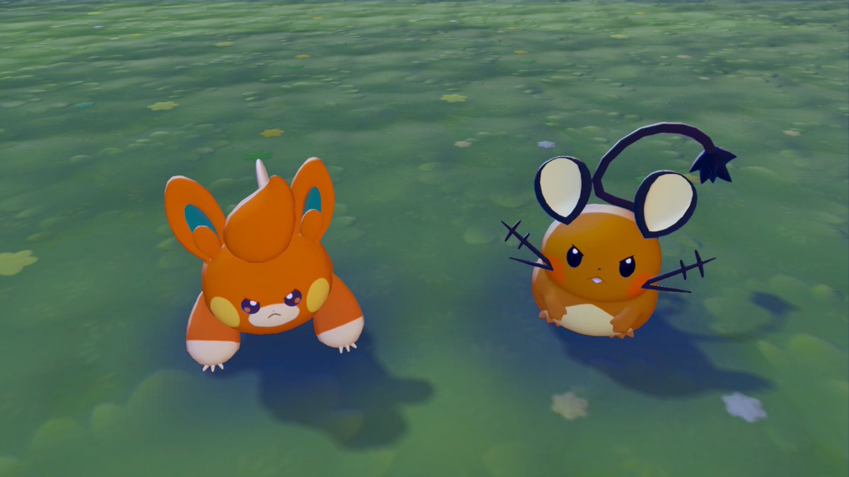 キンギョ tweet media