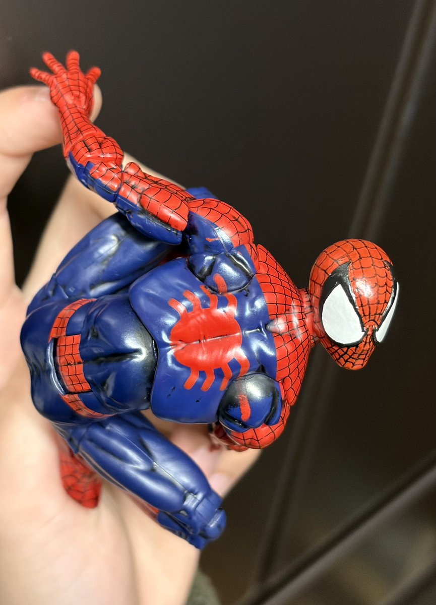 SP³∈🦈 tweet media