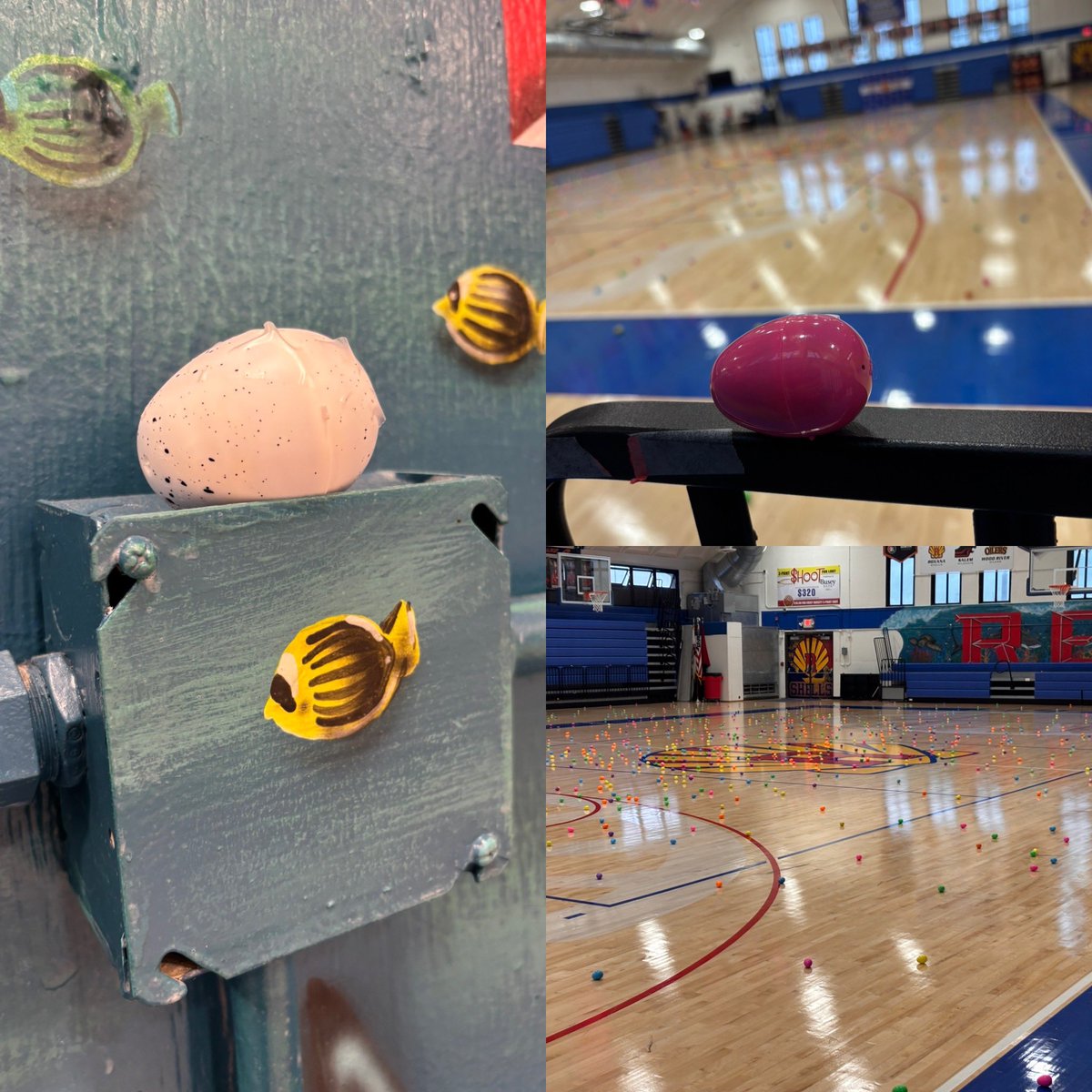 DandurandJason's tweet photo. Shoutout to our amazing @RHS_Shells Student Council for organizing another successful (annual) Easter Egg Hunt! All proceeds supported Relay For Life! Today’s event earned $500 towards the cause! #GoShells #ShellsGiveBack 
Have a great spring break Shell Nation! https://t.co/rBnGkiEsid