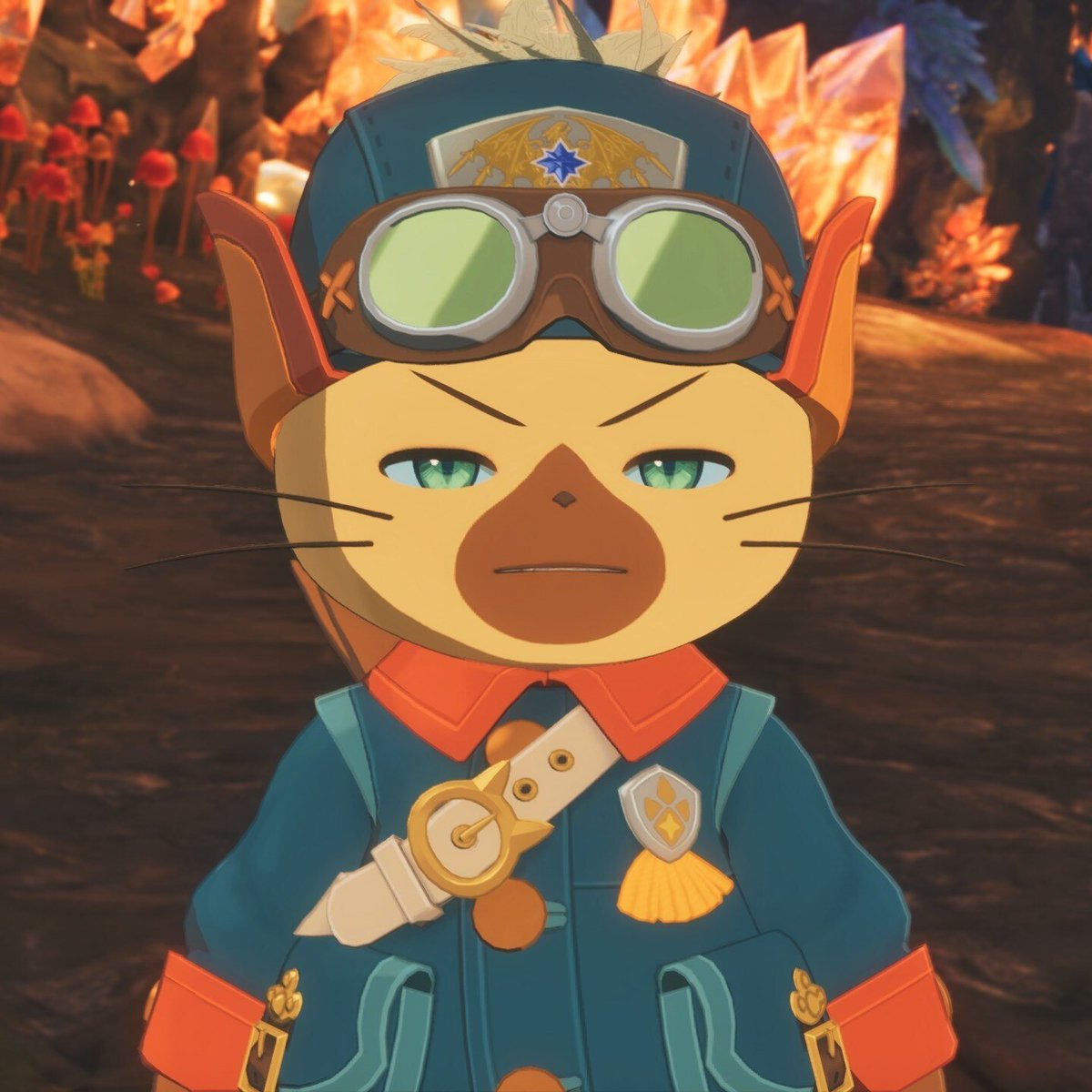 Walter Xavier tweet media