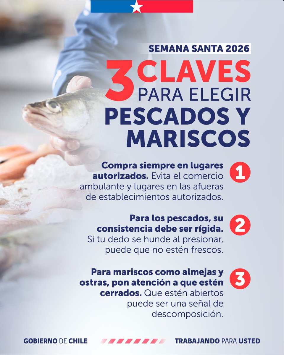 DPPMelipilla's tweet image. 📌 Se acerca el fin de semana largo por #SemanaSanta y queremos que pases estos días sin riesgos. 
Al comprar pescados y mariscos, sigue estas 3 claves fundamentales para asegurar su calidad y frescura.
 ¡Prefiere siempre locales establecidos!
#DPPMelipilla
#GobiernoDeChile 🇨🇱
