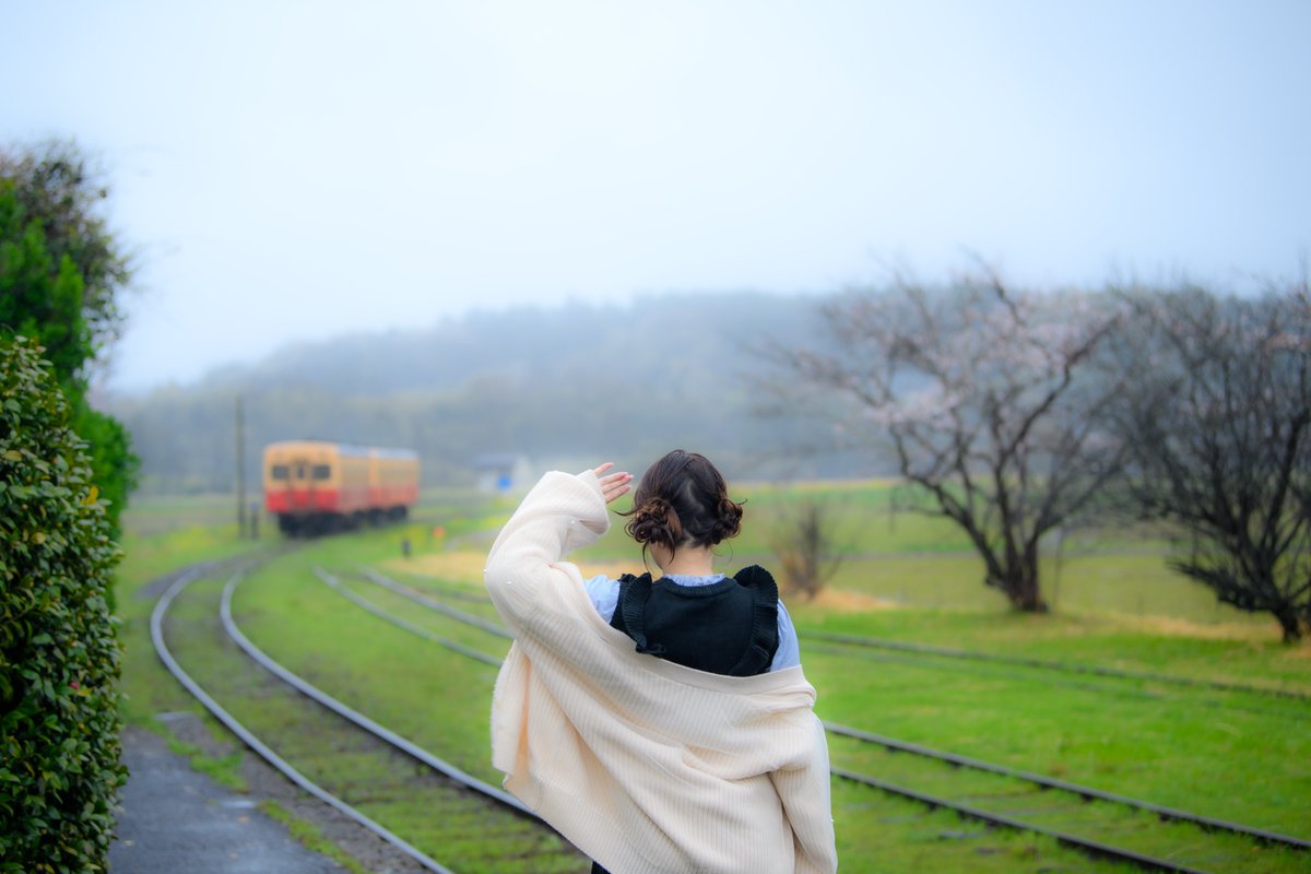 R20091023's tweet photo. 2026.03.31
#グル撮
#小湊鉄道
#菜の花
#桜 https://t.co/DXxnqO1YVR