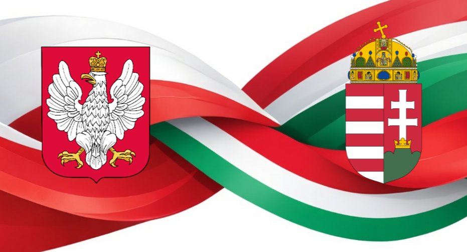 Based Poland 🇵🇱 tweet media