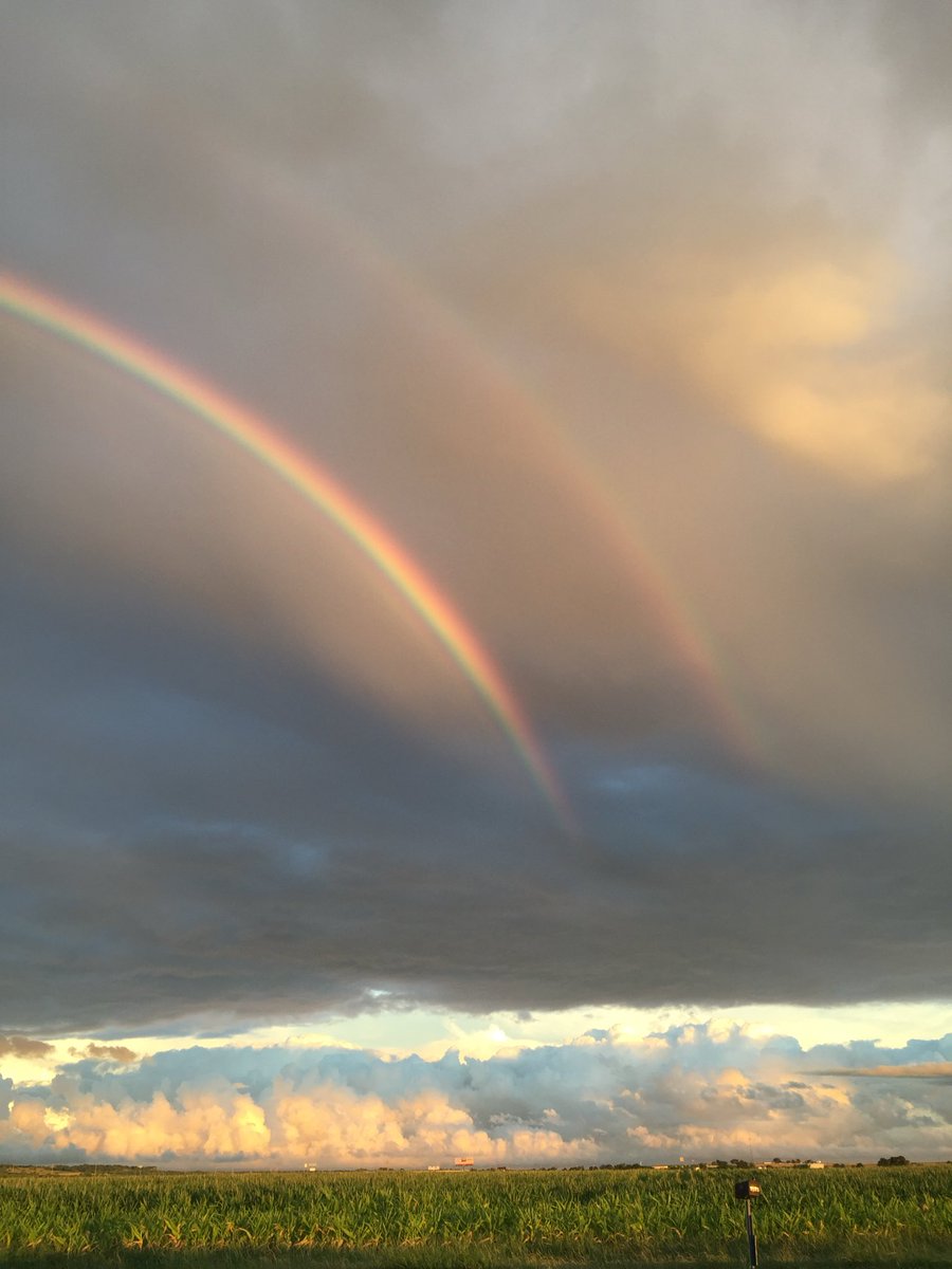 Mrs. Bell tweet media