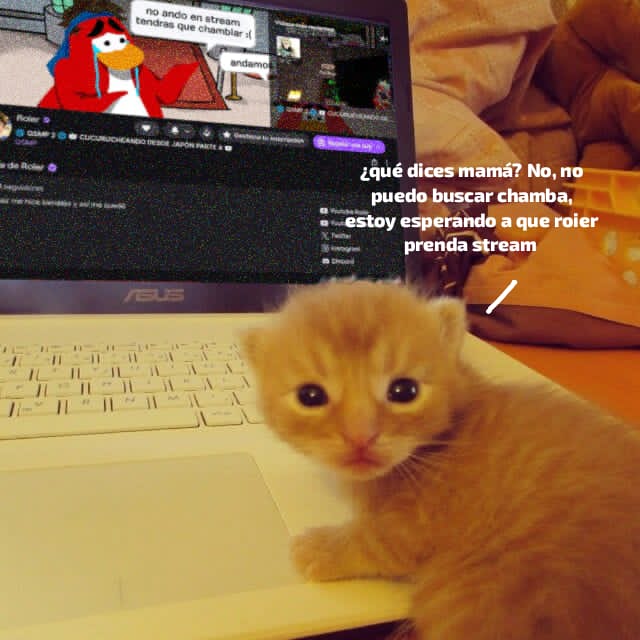 Roier Updates 𓂺ඞ tweet media