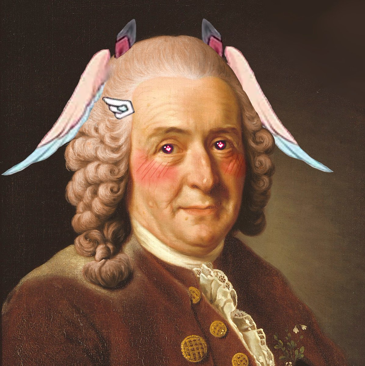 Daily Linnea 🌷 tweet media