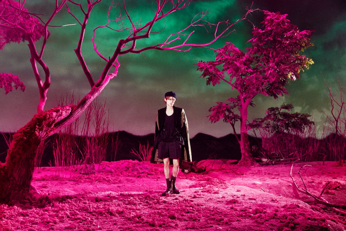 7th year: will tweet media