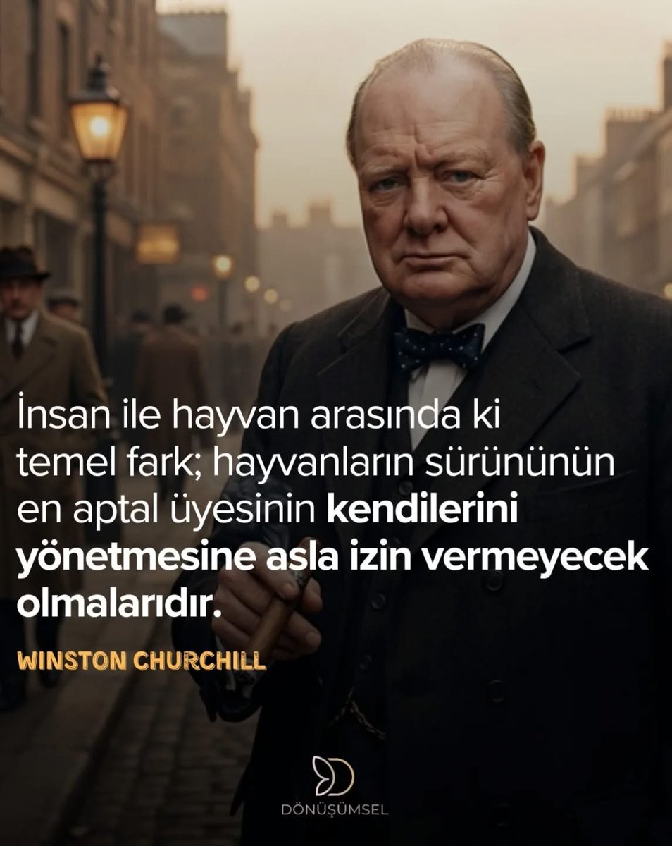 sibelsengul_'s tweet photo. Yorumsuz 
Mutlu akşamlar güzel insanlar 💫💫 https://t.co/Jo4glJmxaA