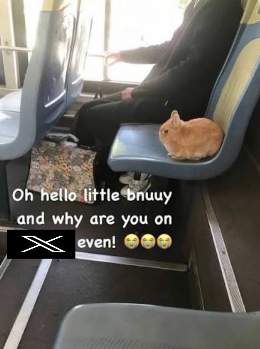 creather tweet media