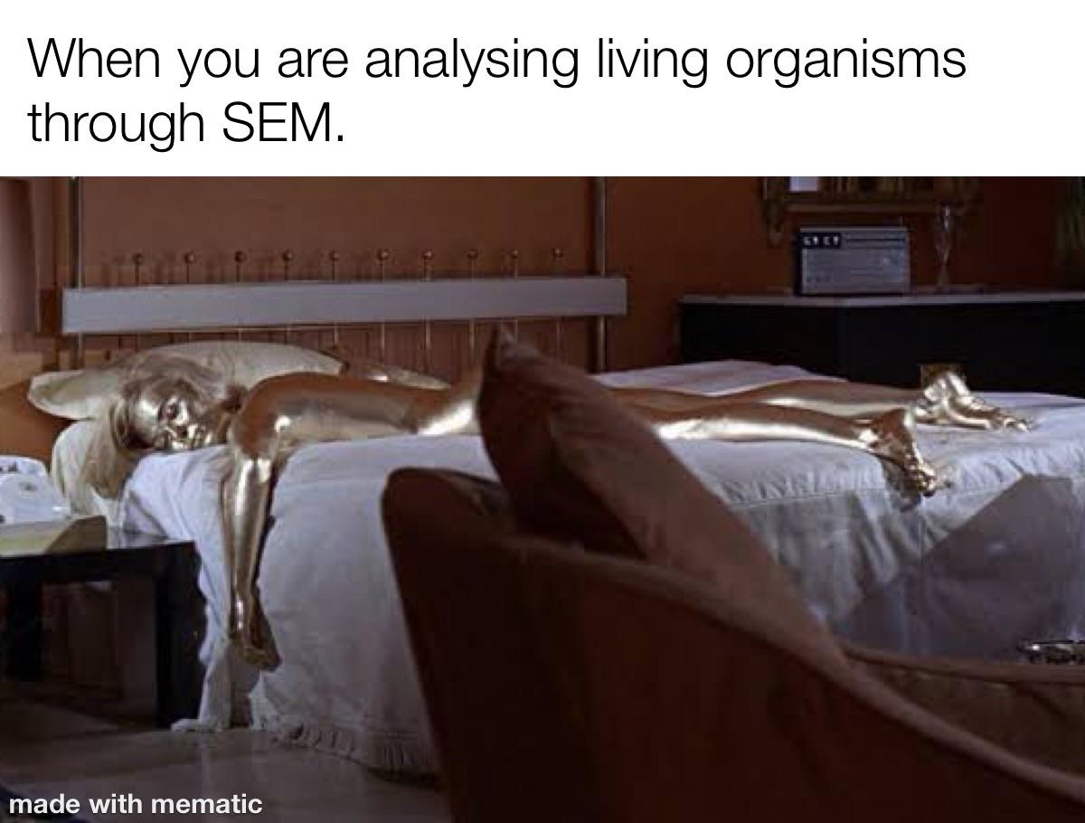 ThePhysicsMemes's tweet image. Sacrifice for science. #sciencefiction