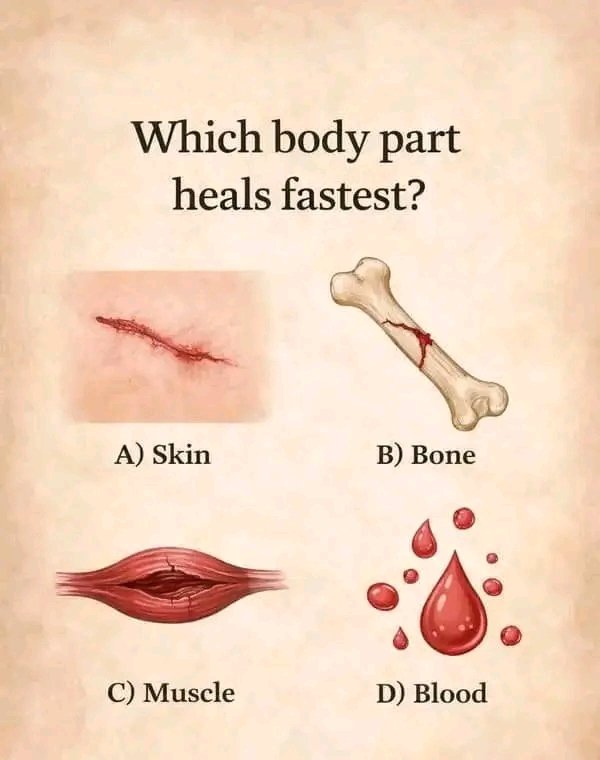 General Knowledge tweet media