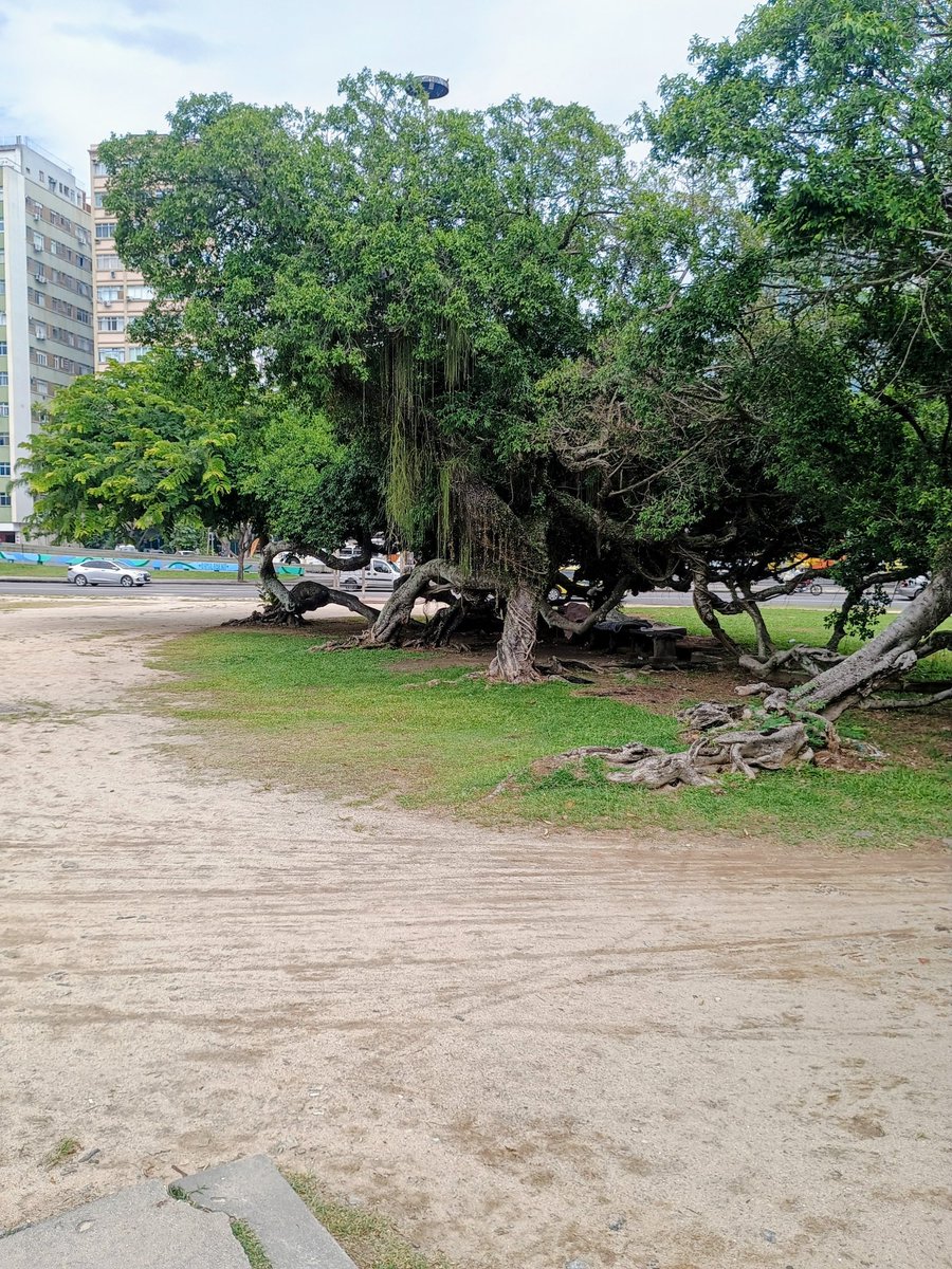 Carioca Taurino tweet media