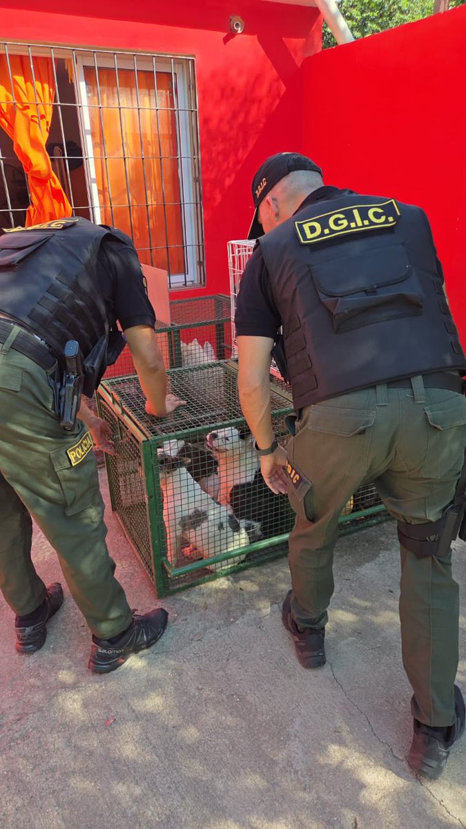 Javier A. Sassi tweet media