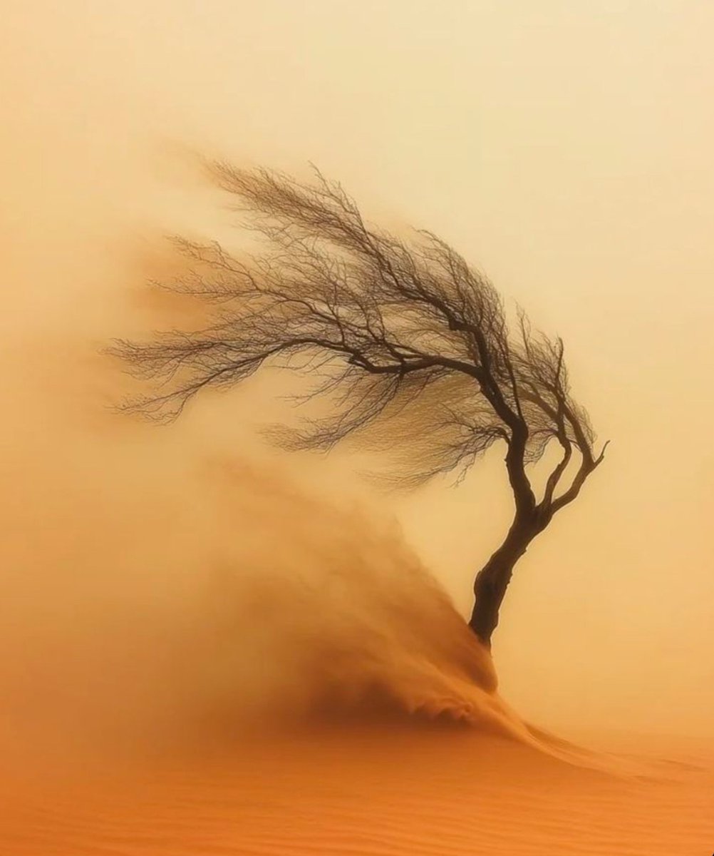 Shammi35659470's tweet image. #vss365 #man

dry lips and throat
man's endless thirst
desert winds blow

#haiku
#micropoetry
#writingcommunity