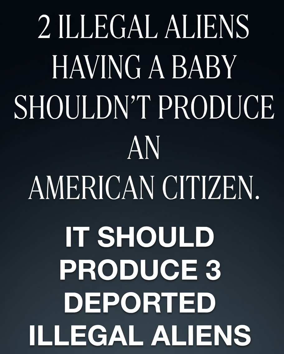 The Conservative Alternative tweet media