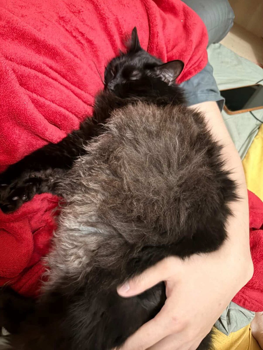 尼割哭㍿ tweet media