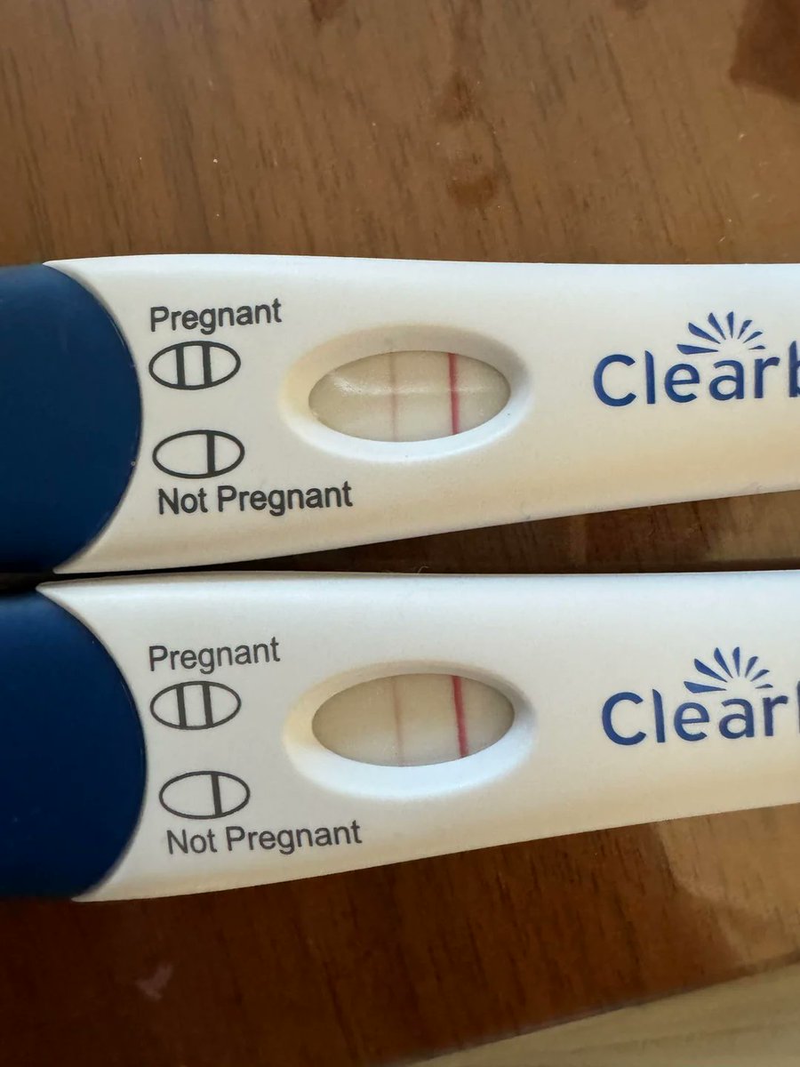 marcy 🐽🐖 tweet media