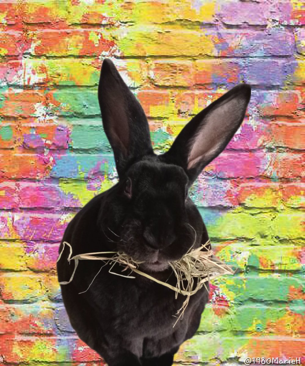 Marie 🐰🌟👻 tweet media