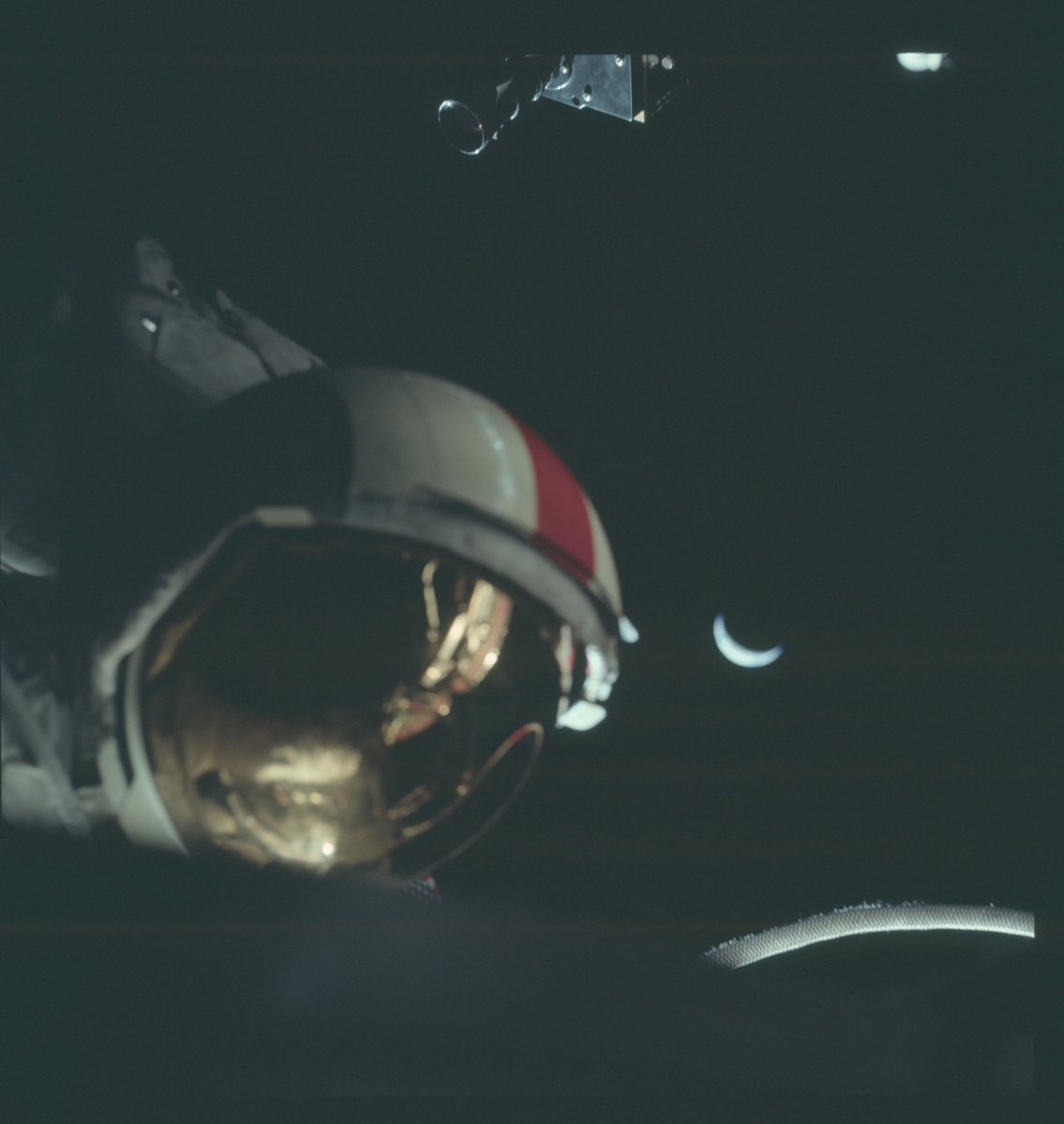 Crusader of Christ ⚔️ tweet media