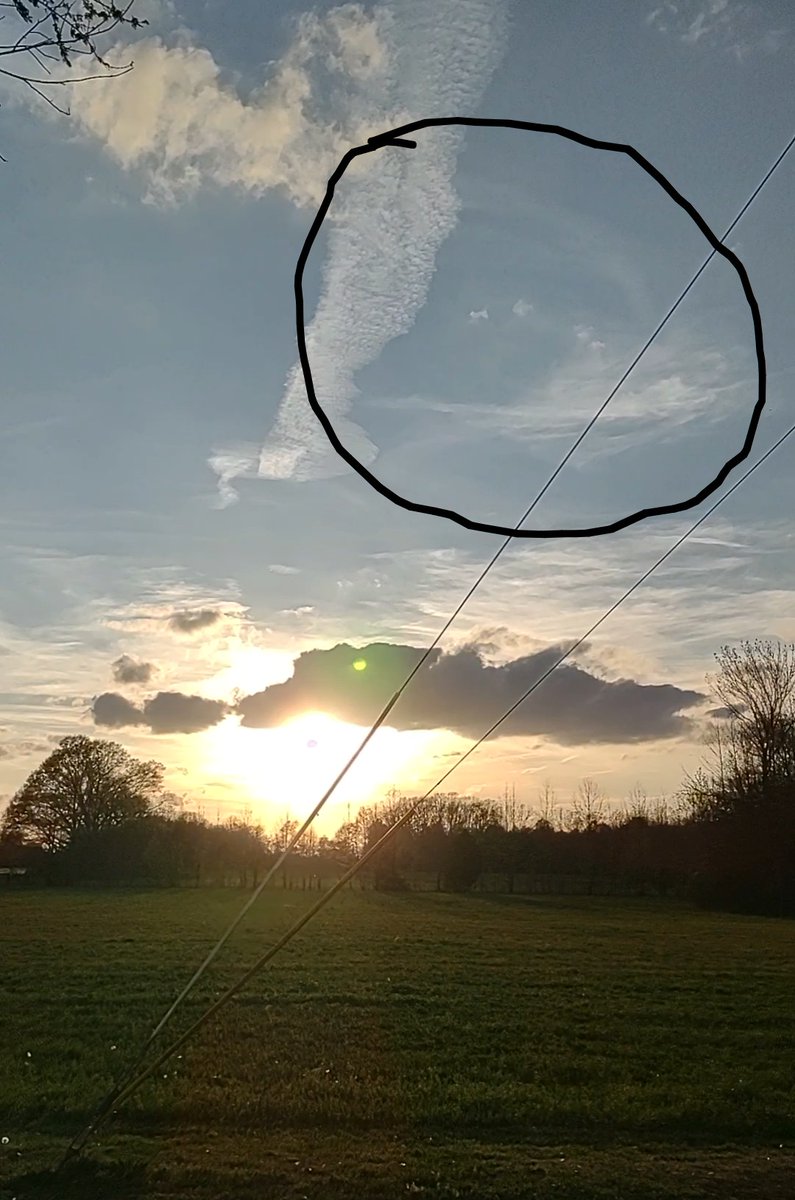 missykay tweet media