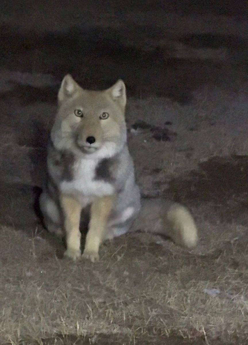 This acc will make u happy ✨ tweet media