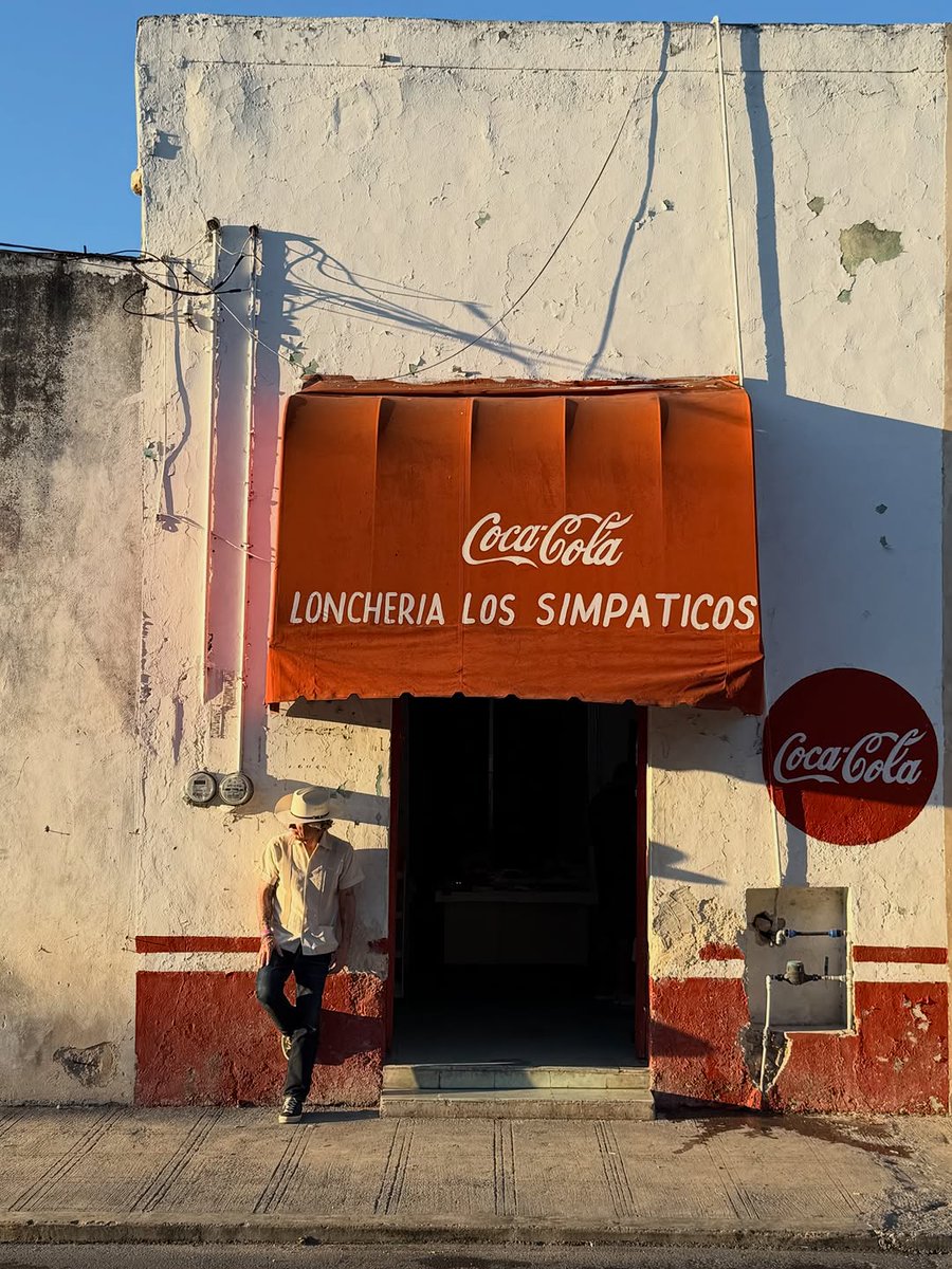 𝙇𝘼𝙏𝘼𝙈 𝘼𝙀𝙎𝙏𝙃𝙀𝙏𝙄𝘾 ✨🦜 tweet media