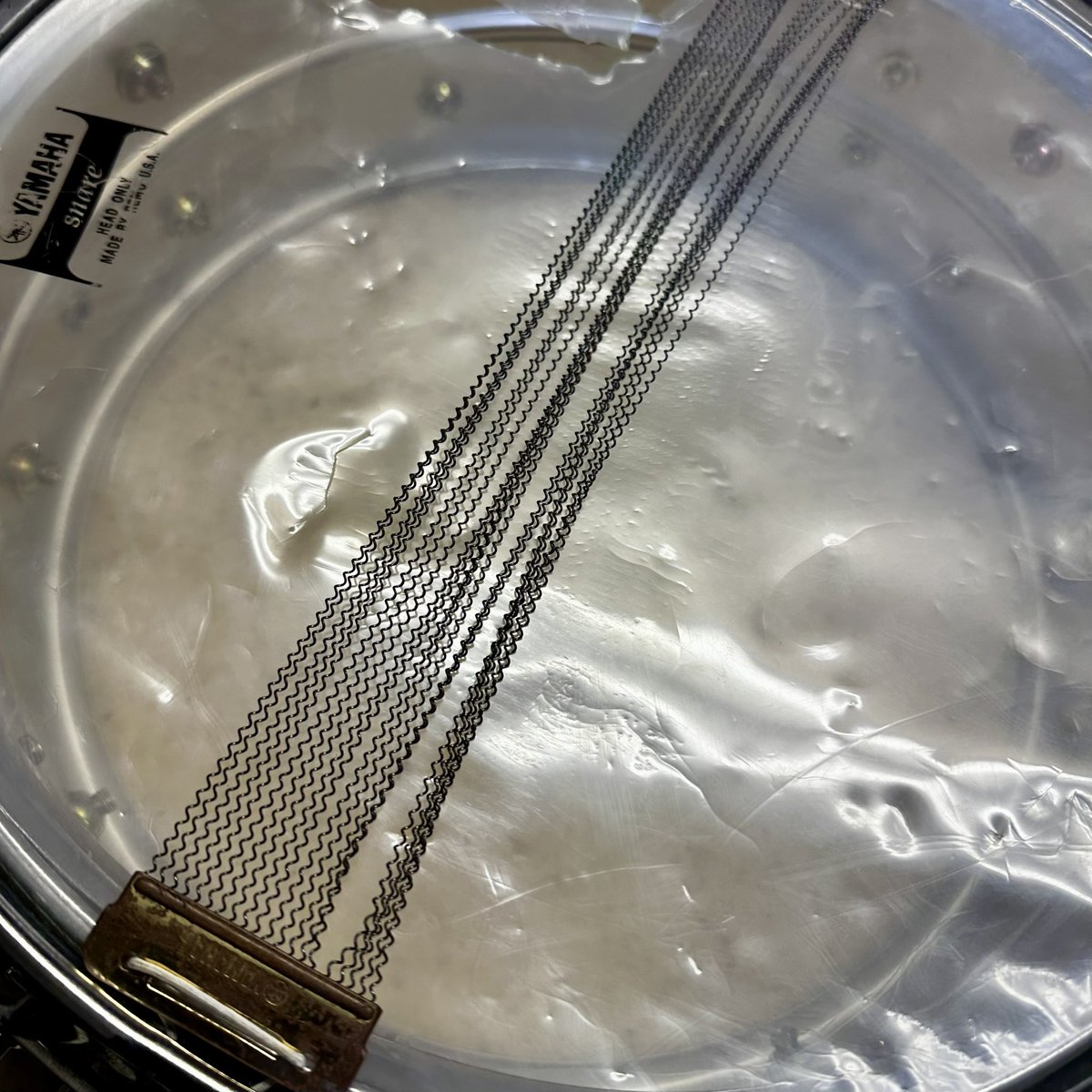 Bonney Drum Japan tweet media