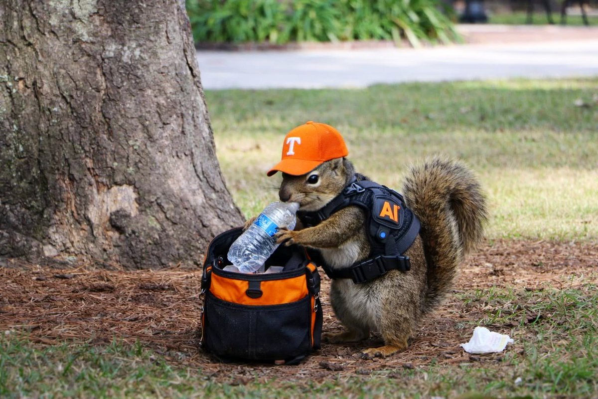 Facilities Services tweet media